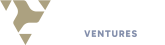 logotipo-triangulo-ventures-1-horizontal-1